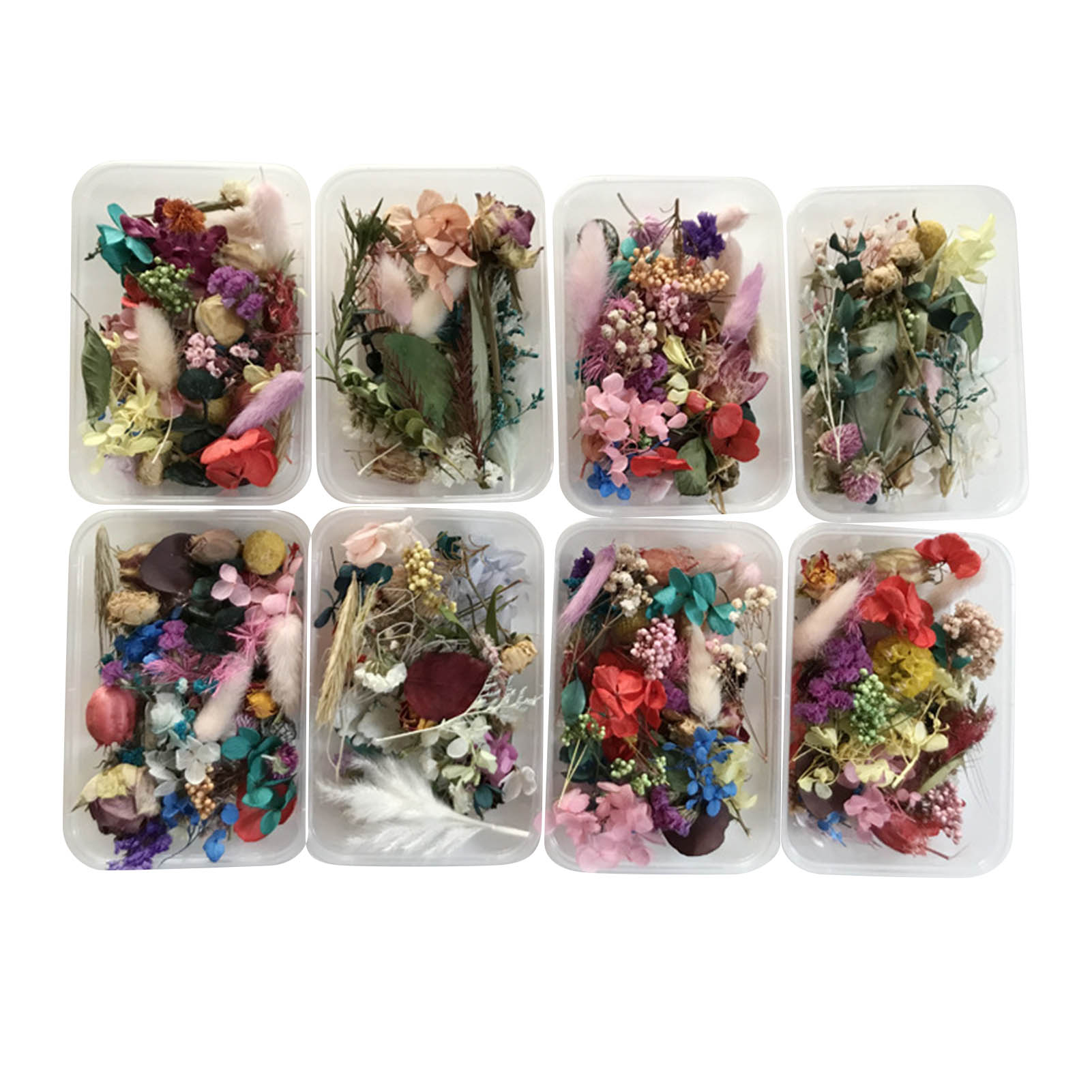 Dried Herbs - Doğal kurutulmuş çiçek kiti preslenmiş sanat