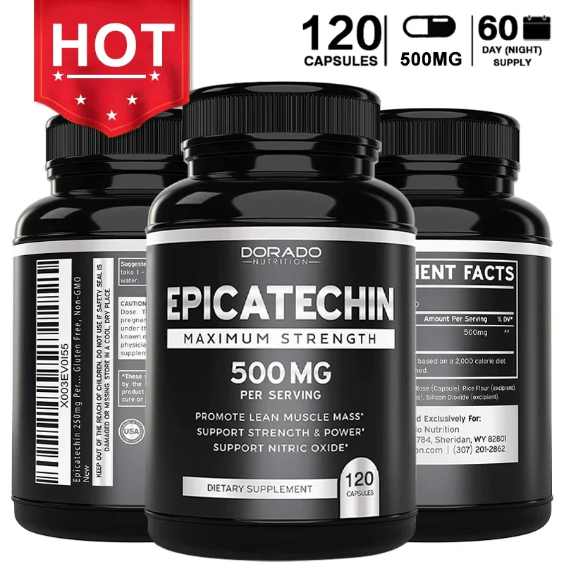 Herbal Supplement - Epicatechin özü takviyesi, 500 Mg-yalın kas,