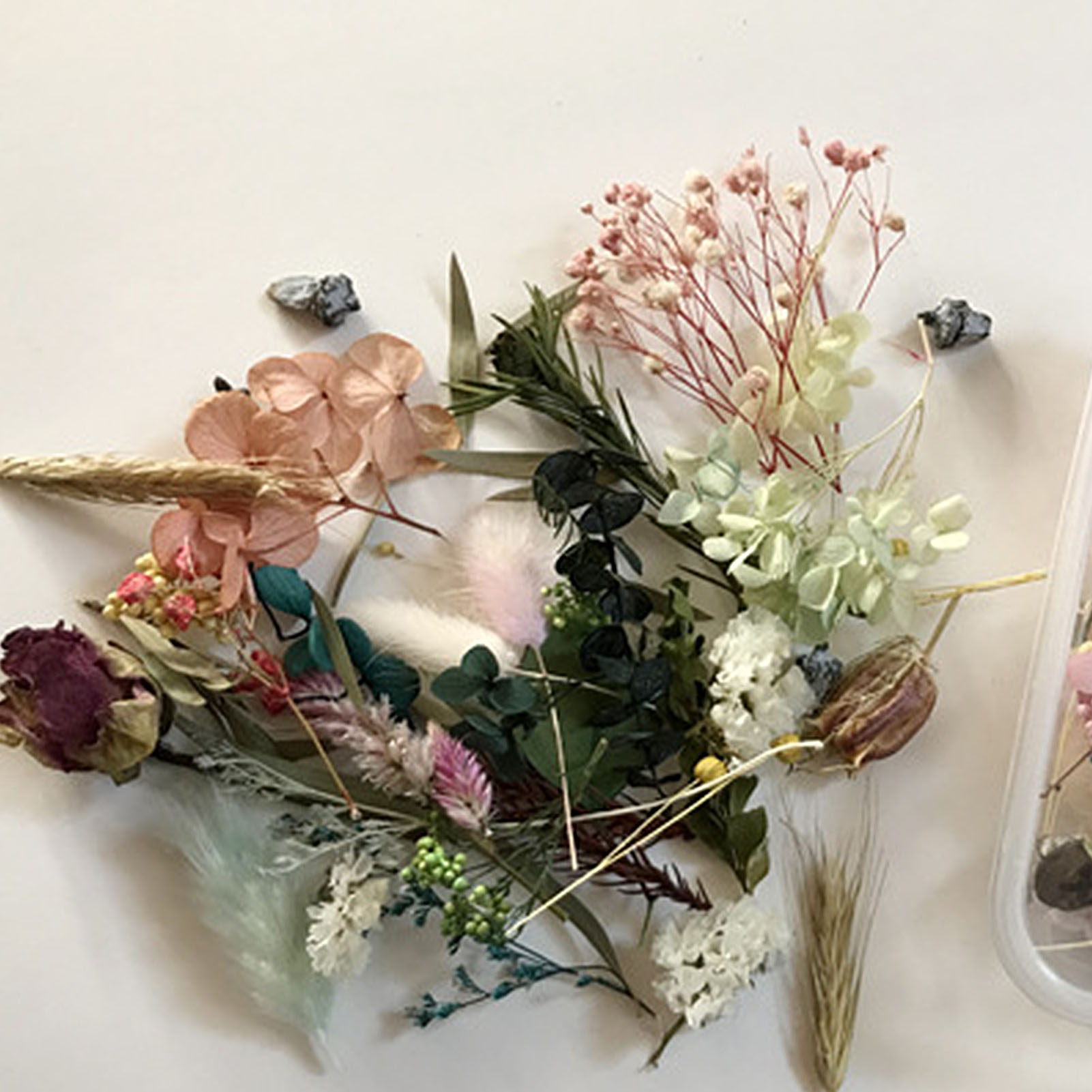 Doğal kurutulmuş çiçek kiti pr - Dried Herbs incelemesi ve fiyatı