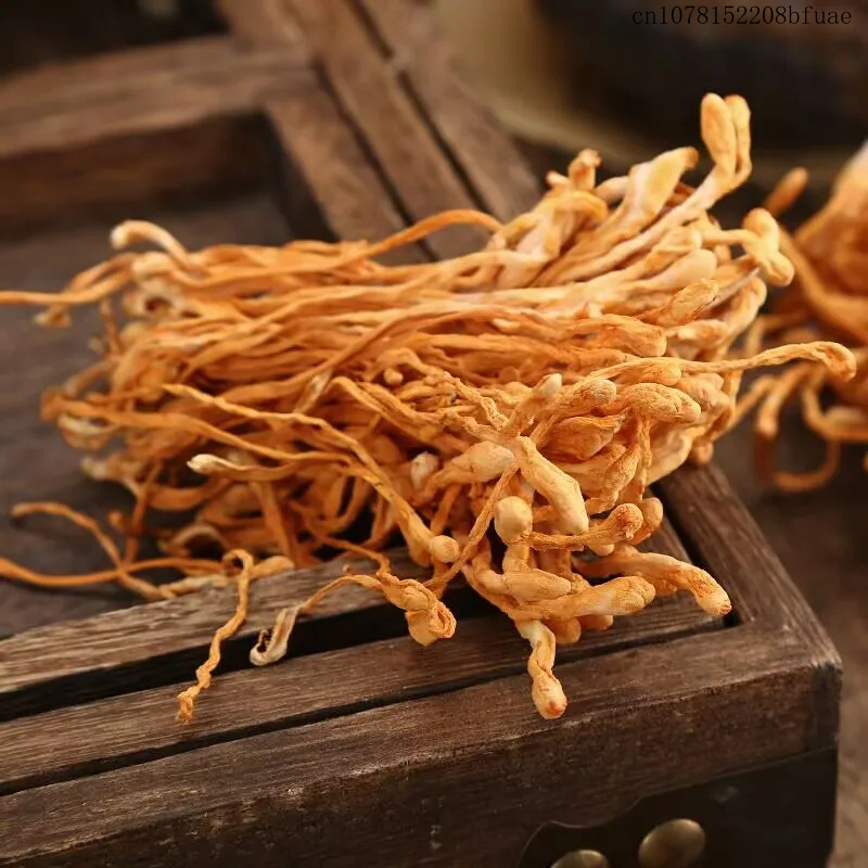 250g/500g Kurutulmuş Cordyceps - Dried Herbs incelemesi ve fiyatı