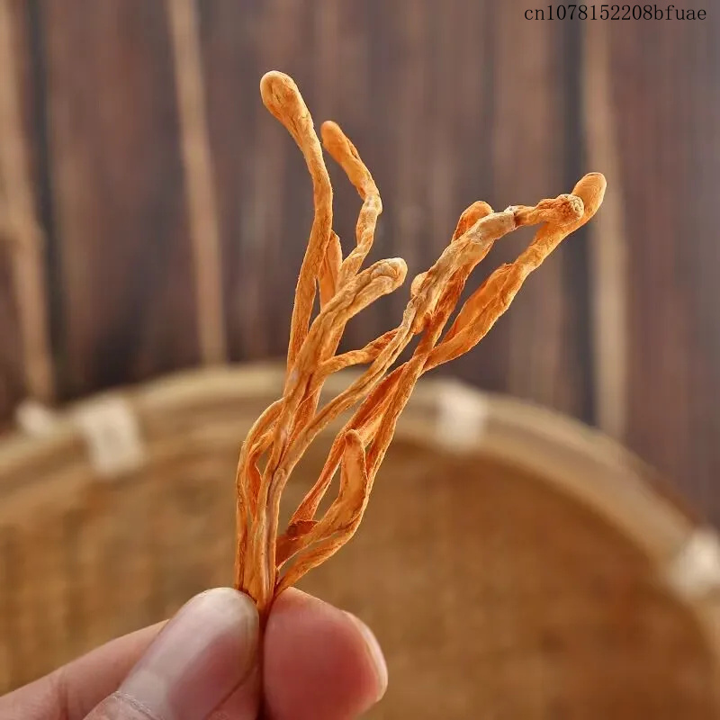 250g/500g Kurutulmuş Cordyceps - Dried Herbs incelemesi ve fiyatı