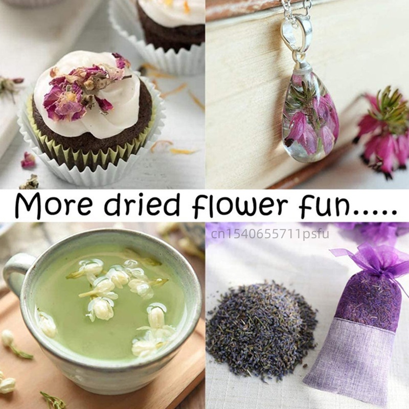 Premium Doğal Kurutulmuş Papat - Chamomile Tea incelemesi ve fiyatı
