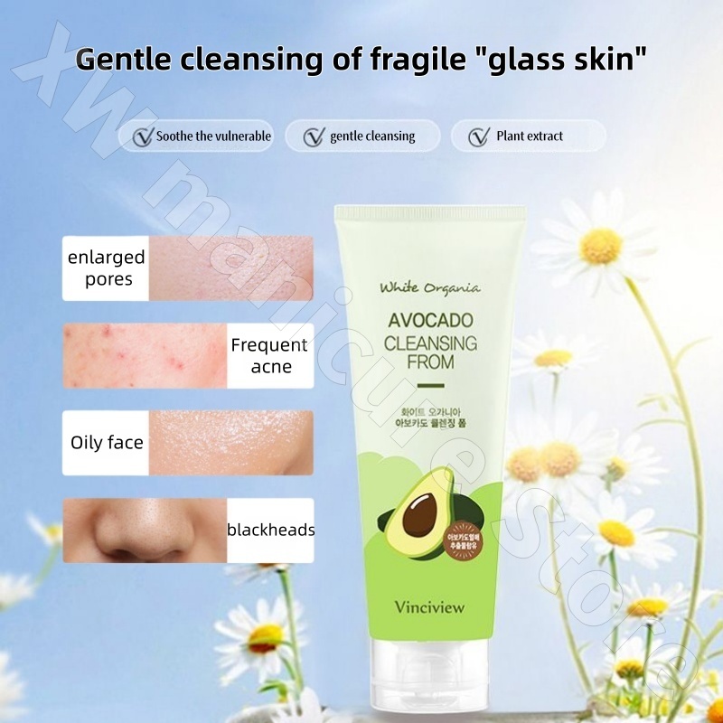 Kore Papatya Çay Ağacı Avokado - Chamomile Tea incelemesi ve fiyatı